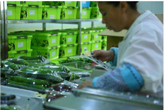 1509694150928957.jpg timg (29).jpg