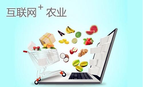 1519721691912962.jpg u=491293317,3175794326&fm=27&gp=0.jpg